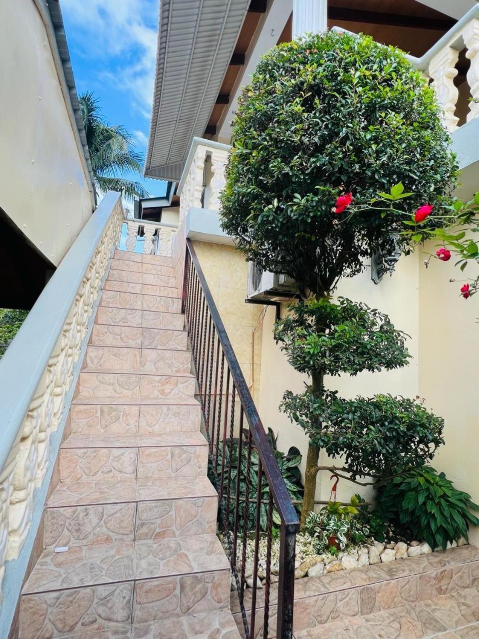 Oasis Dona Elena Villa Jarabacoa Kültér fotó