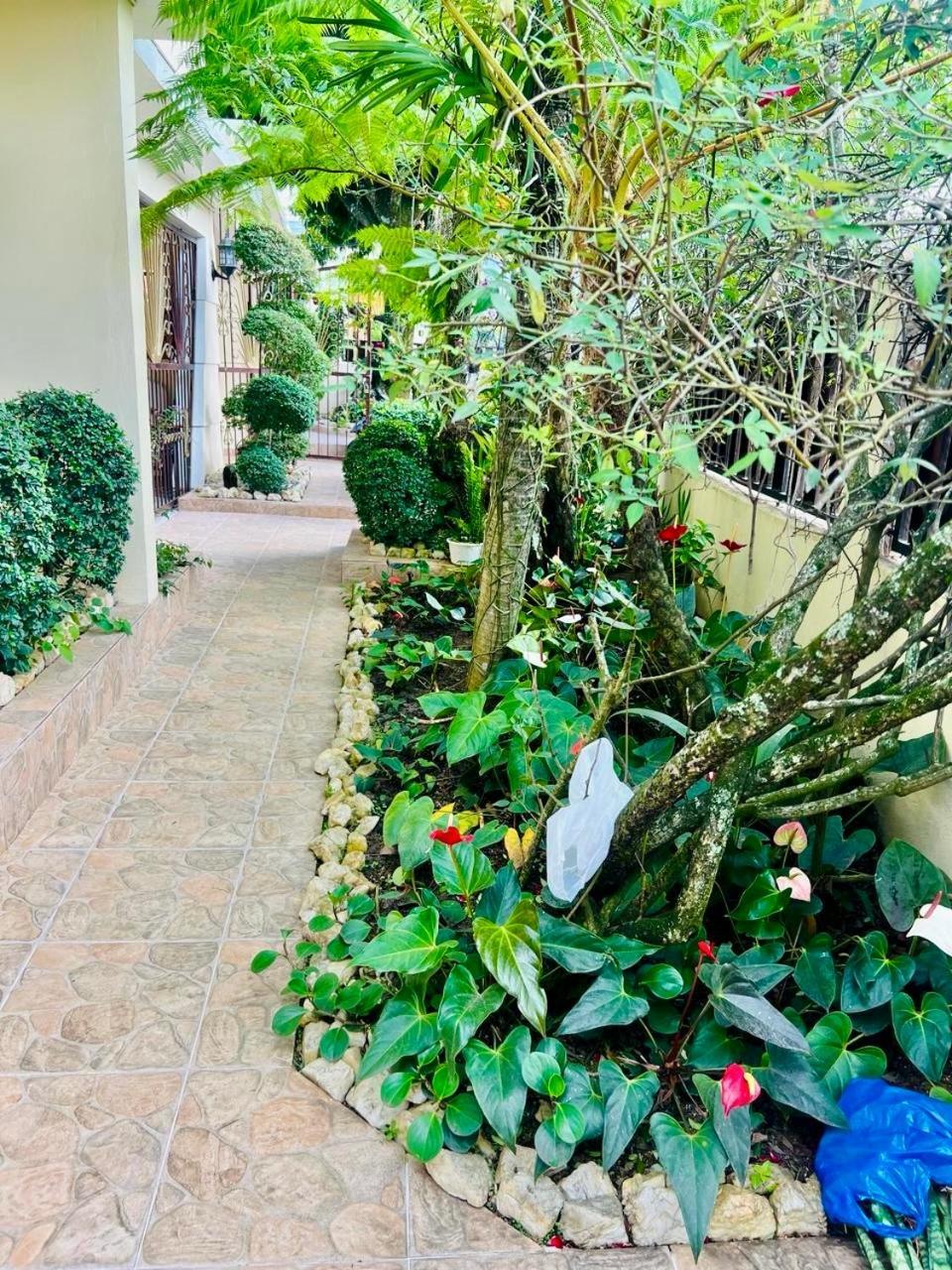 Oasis Dona Elena Villa Jarabacoa Kültér fotó