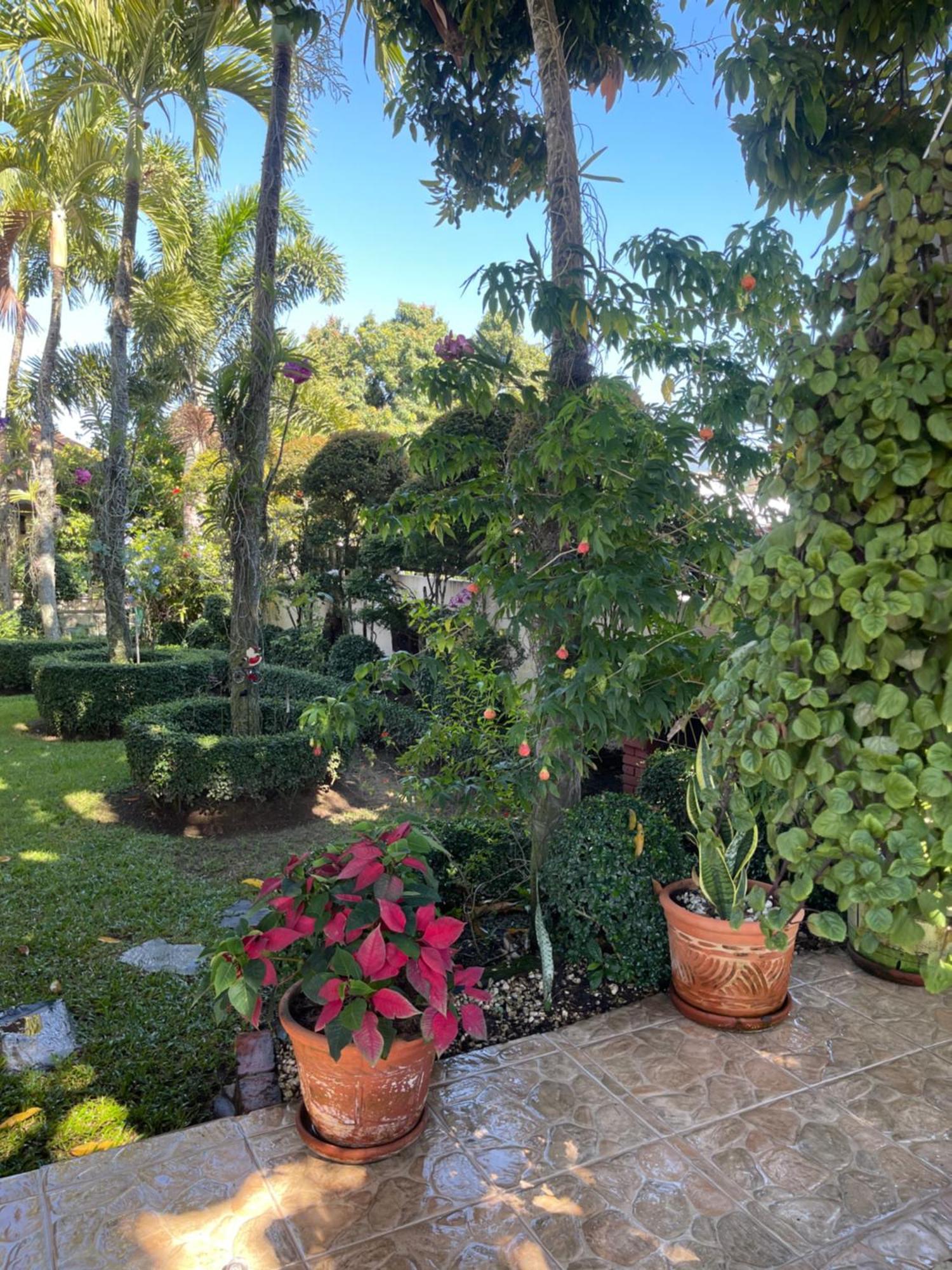 Oasis Dona Elena Villa Jarabacoa Kültér fotó